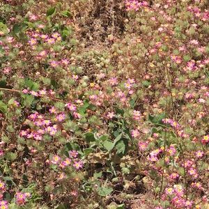 Meet your Posher, Kati